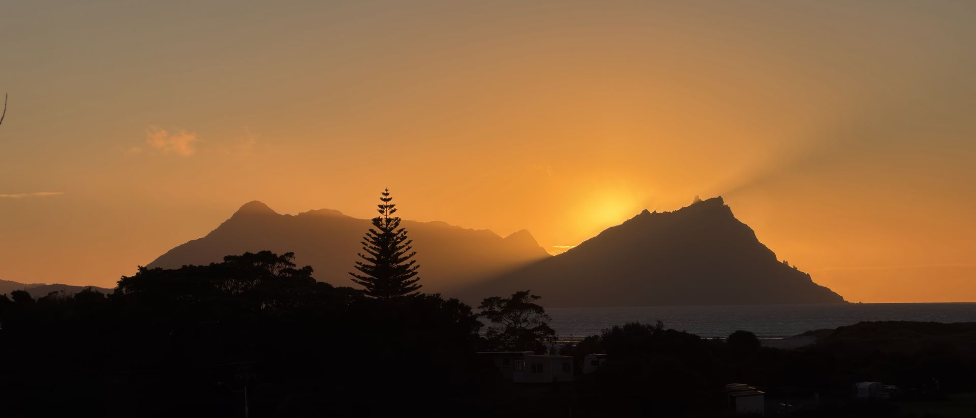 The sun low over Bream Bay, with the hills of the Whangarei Heads in silhouette across the water and a Norfolk pine in the foreground
